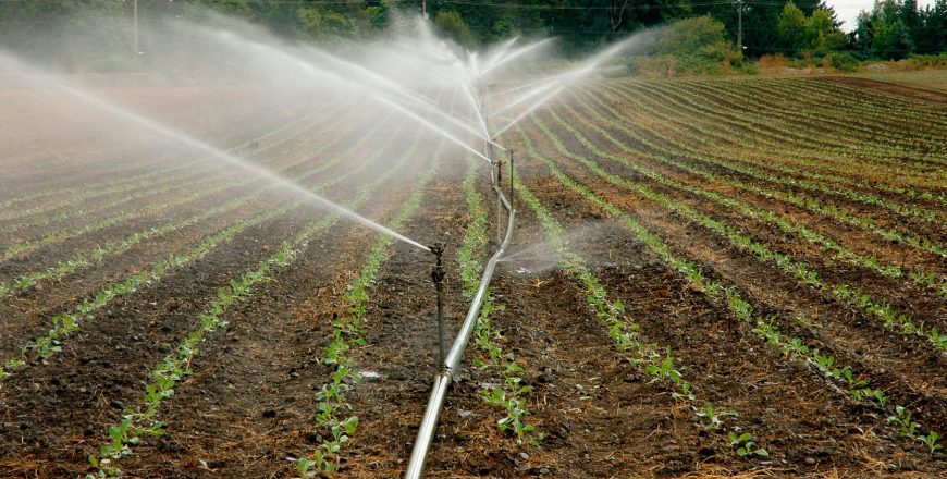 Manejo de aguas servidas para la agricultura sostenible