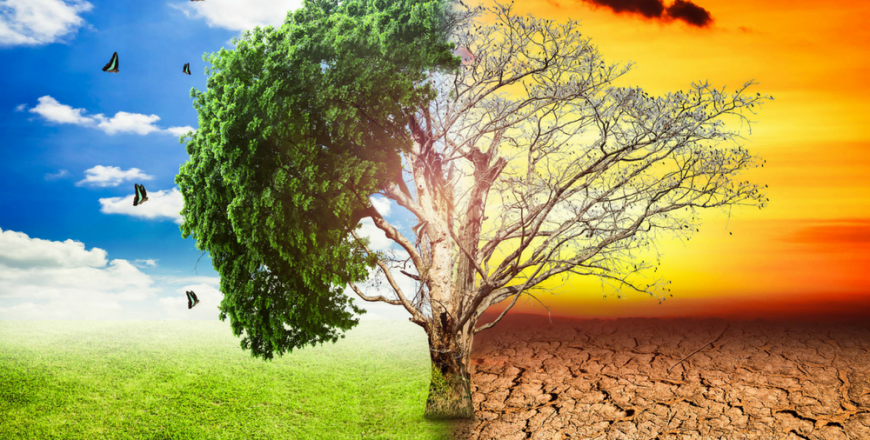 Cambio Climático: Tecnologías, Políticas y Medidas de Adaptación y Mitigación
