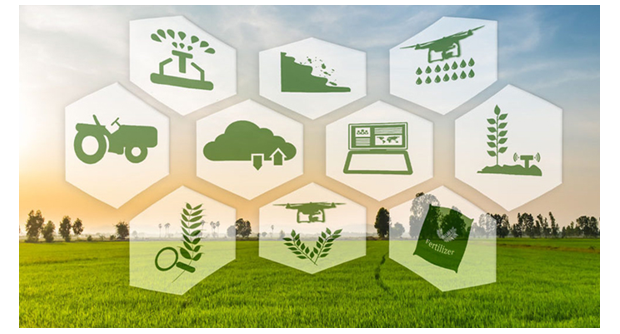 Certificación Final Ingeniería Agroindustrial y Agrícola