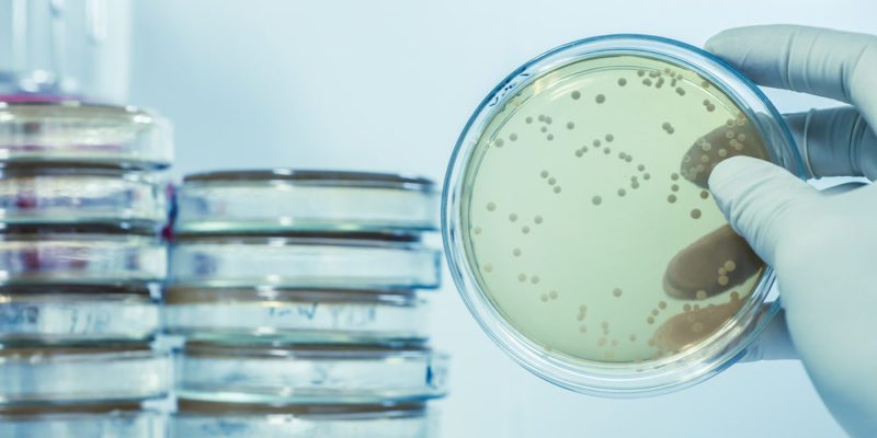 Microbiología y Parasitología Microbiología y Parasitología